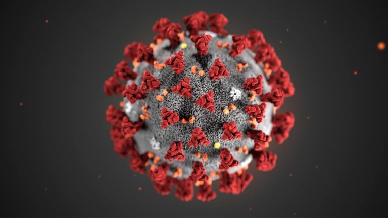 Maladie à coronavirus (COVID-19)