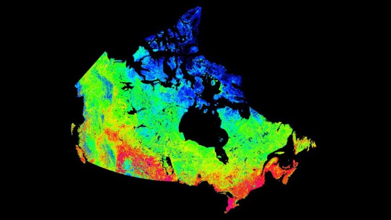 Canada Vegetation Cover August 2021